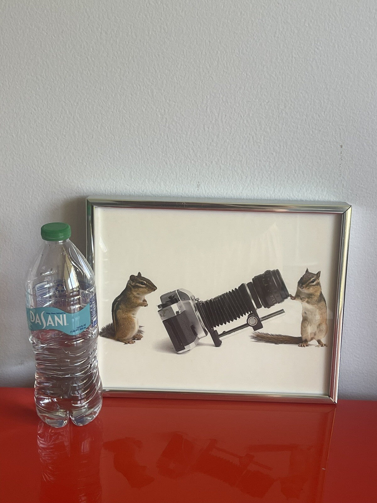 Taxidermy Chipmunk Photographers w/ Retro Camera Weird Anthropomorphic Photo FUN2