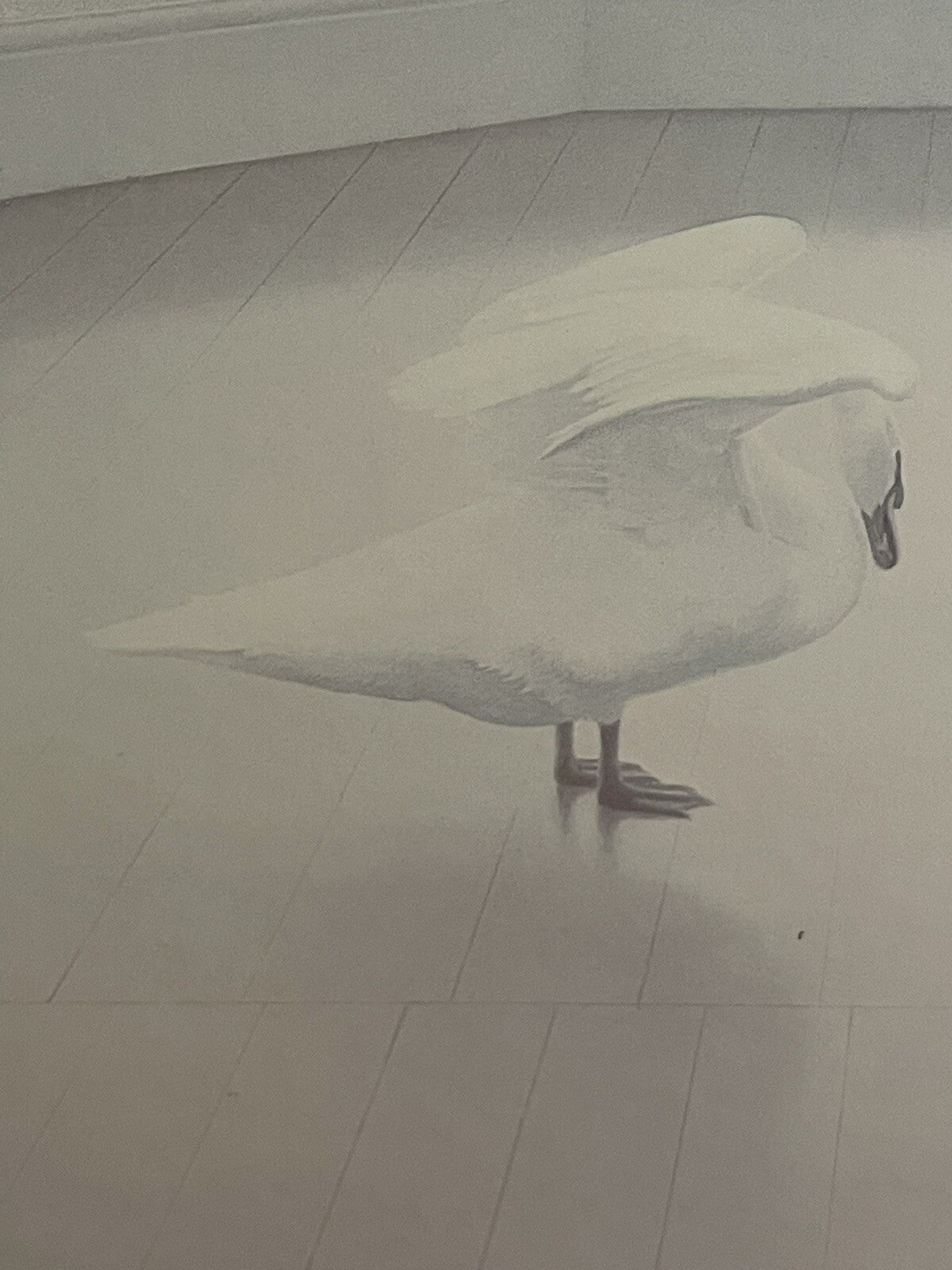 Contemporary Figurative Realist 1979 Matted Print “Mute Swan Song” Neil Moore5