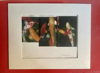 Brian Petro KOI FISH Heat Transfer From Original Photo circa 2000 Mixed Media