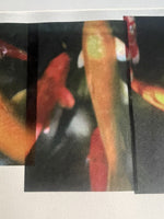 Brian Petro KOI FISH Heat Transfer From Original Photo circa 2000 Mixed Media