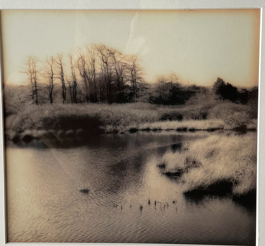 Christine Triebert “Grassy Pond” Provincetown MA Pin Camera Photograph Framed