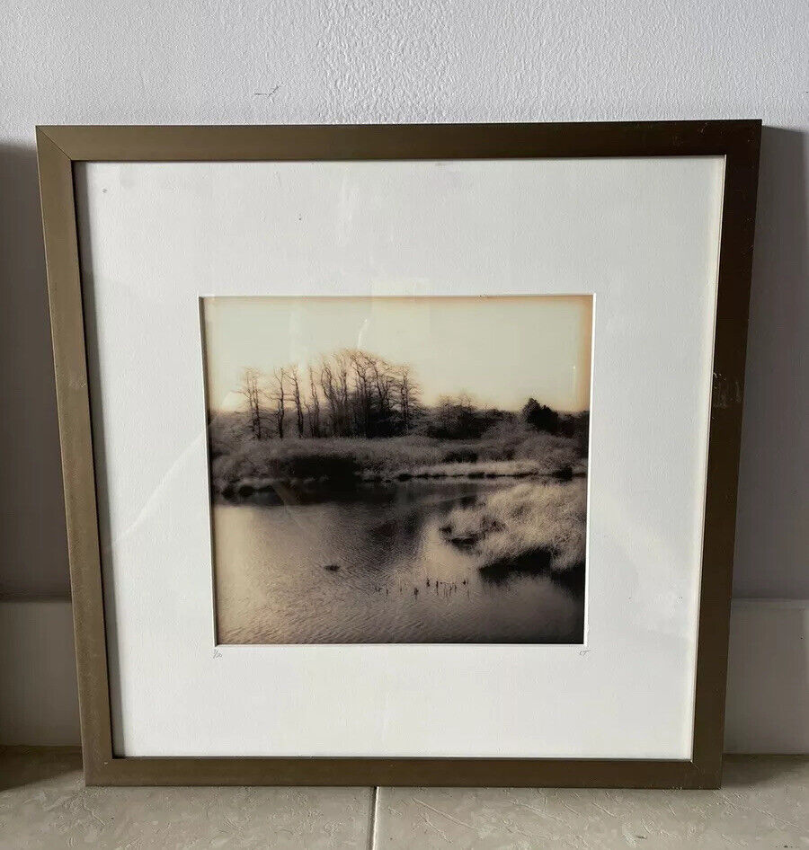 Christine Triebert “Grassy Pond” Provincetown MA Pin Camera Photograph Framed