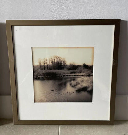 Christine Triebert “Grassy Pond” Provincetown MA Pin Camera Photograph Framed
