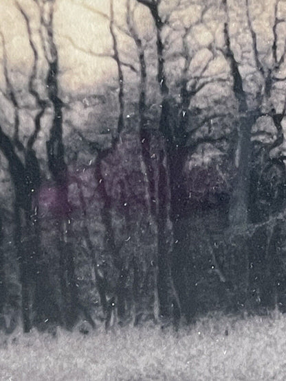 Christine Triebert “Grassy Pond” Provincetown MA Pin Camera Photograph Framed