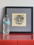 OOAK Cat Kitten Hand-Colored Pastel Lithograph Art Signed Gatterbauer Framed #2
