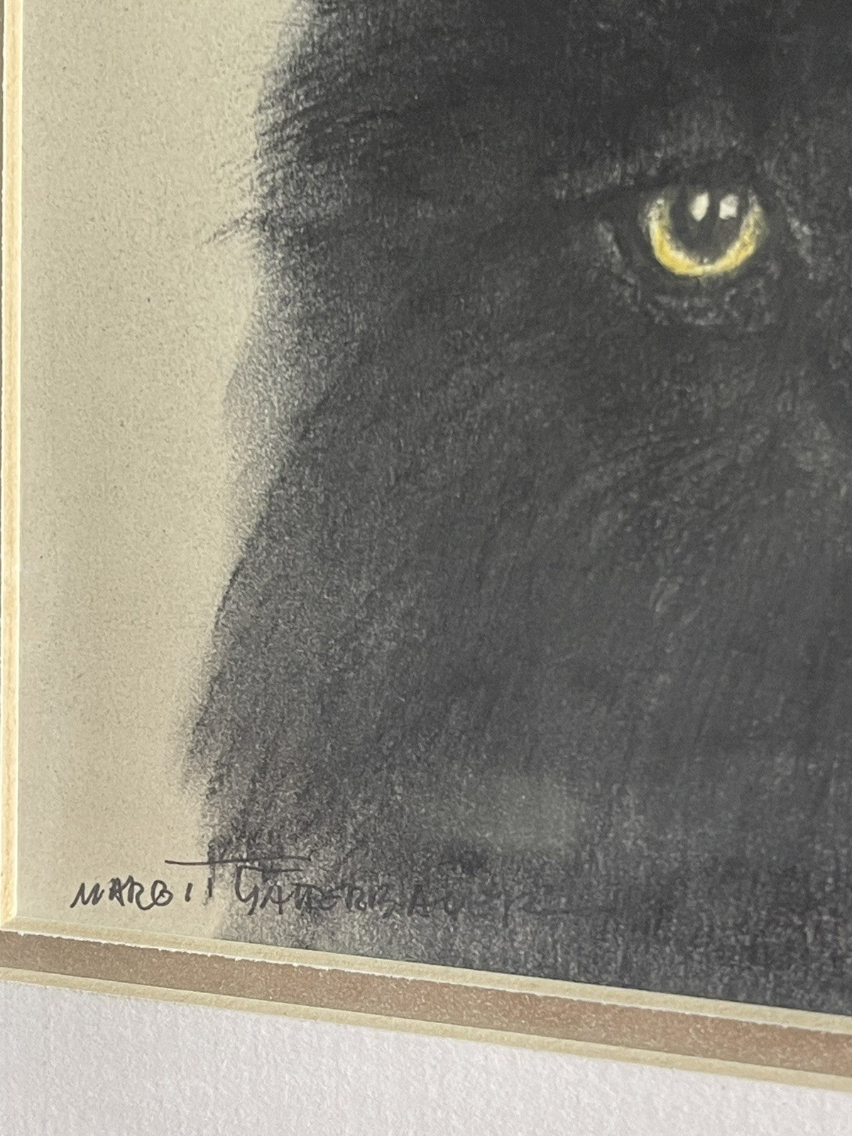 OOAK Cat Kitten Hand-Colored Pastel Lithograph Art Signed Gatterbauer Framed #7