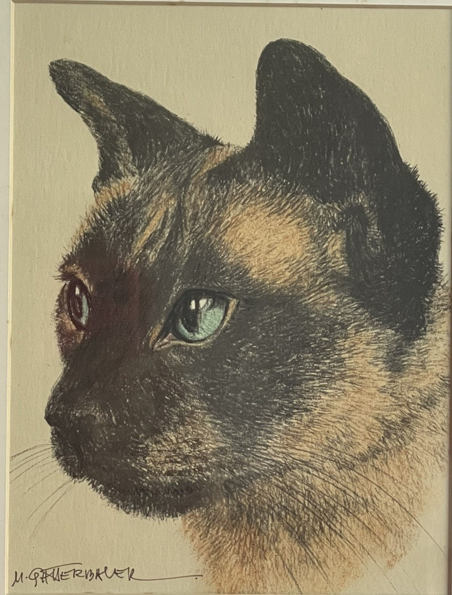 OOAK Siamese Cat Hand-Colored Pastel Lithograph Art Signed M. Gatterbauer Framed