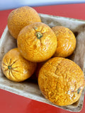 Gorgeous Italy MAJOLICA Oranges Basket Midcentury Modern MCM Trompe L’oeil Retro