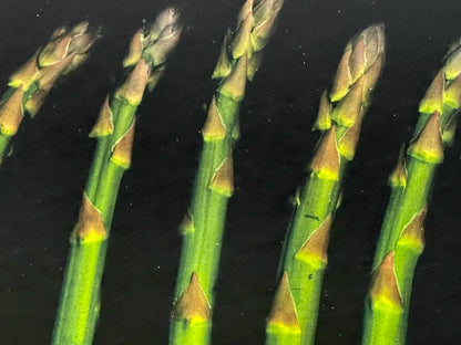 Asparagus Fine Art Photograph Photorealism Chef Kitchen Decor Vegetables Veggies1