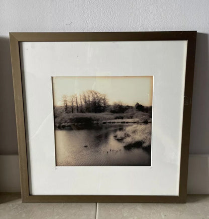 Christine Triebert “Grassy Pond” Provincetown MA Pin Camera Photograph Framed1