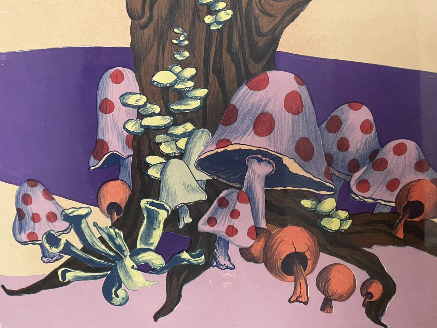 Purple Magic Mushrooms Retro 70s Limited Ed. Fine Art Print Signed Framed Hippie4