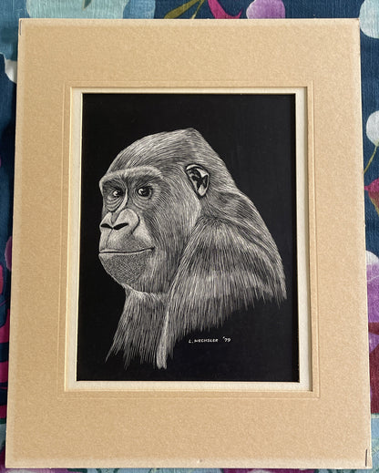 Gorilla Drawing On British Scrape Board Signed Wechsler 1979 Intricate OOAK Art1