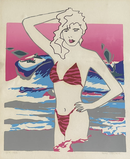 1988 Pop Art Zebra Print Bathing Suit NEW WAVE Graphic Framed Signed Stenstrom0