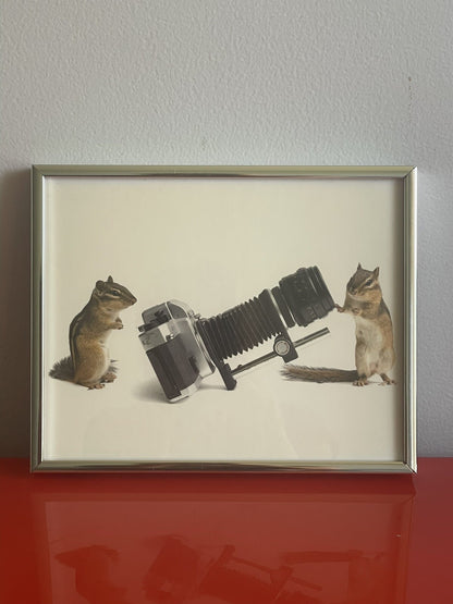 Taxidermy Chipmunk Photographers w/ Retro Camera Weird Anthropomorphic Photo FUN1