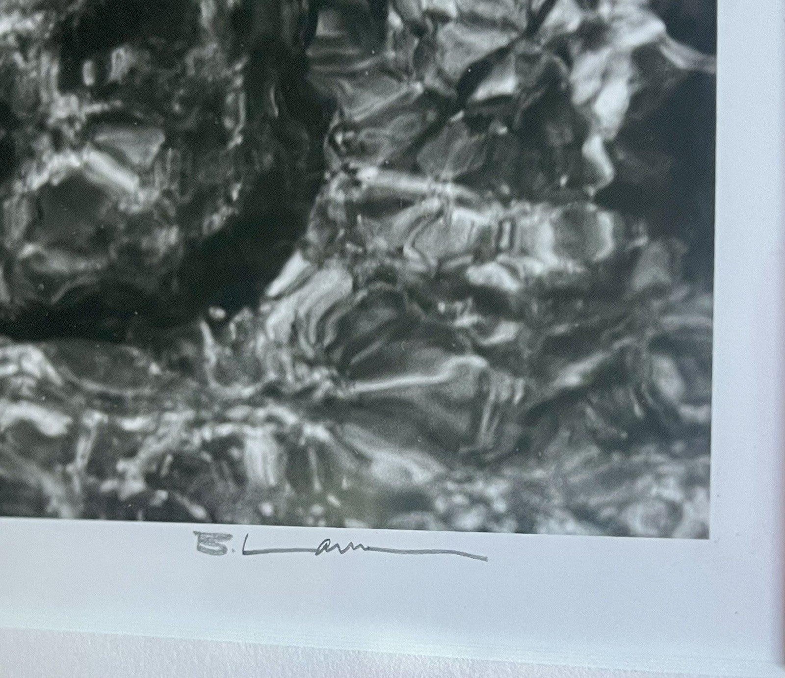 Original Fine Art Photograph ACADIA Nat’l Park MAINE Abstract B&W Signed Framed3