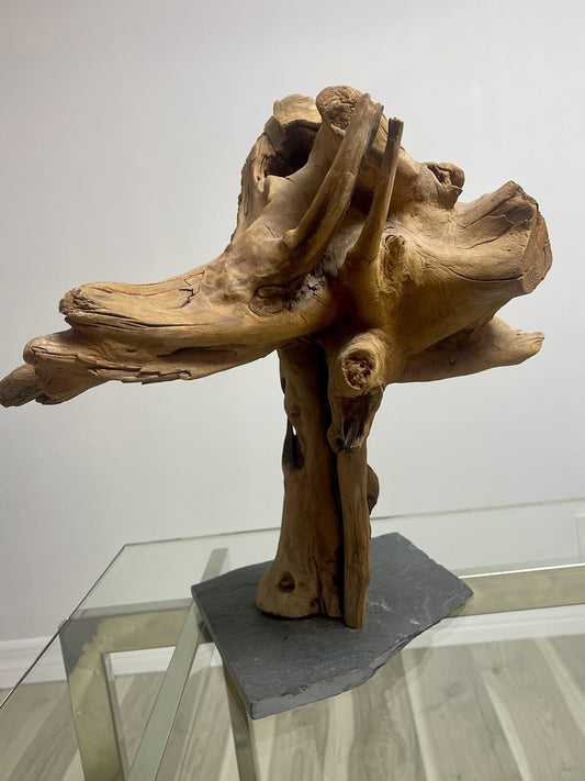 Vintage Driftwood Tabletop Abstract Sculpture 70s Organic Natural Art Decor 17”0
