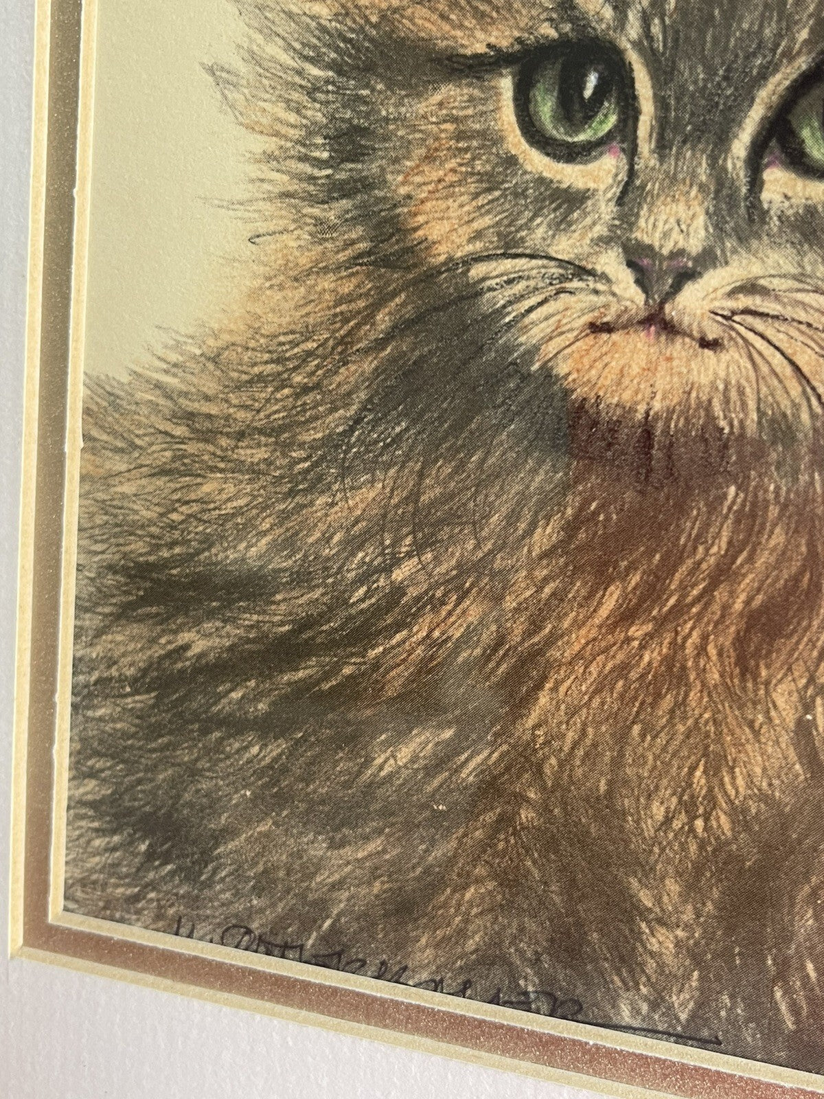 OOAK Cat Kitten Hand-Colored Pastel Lithograph Art Signed Gatterbauer Framed #83