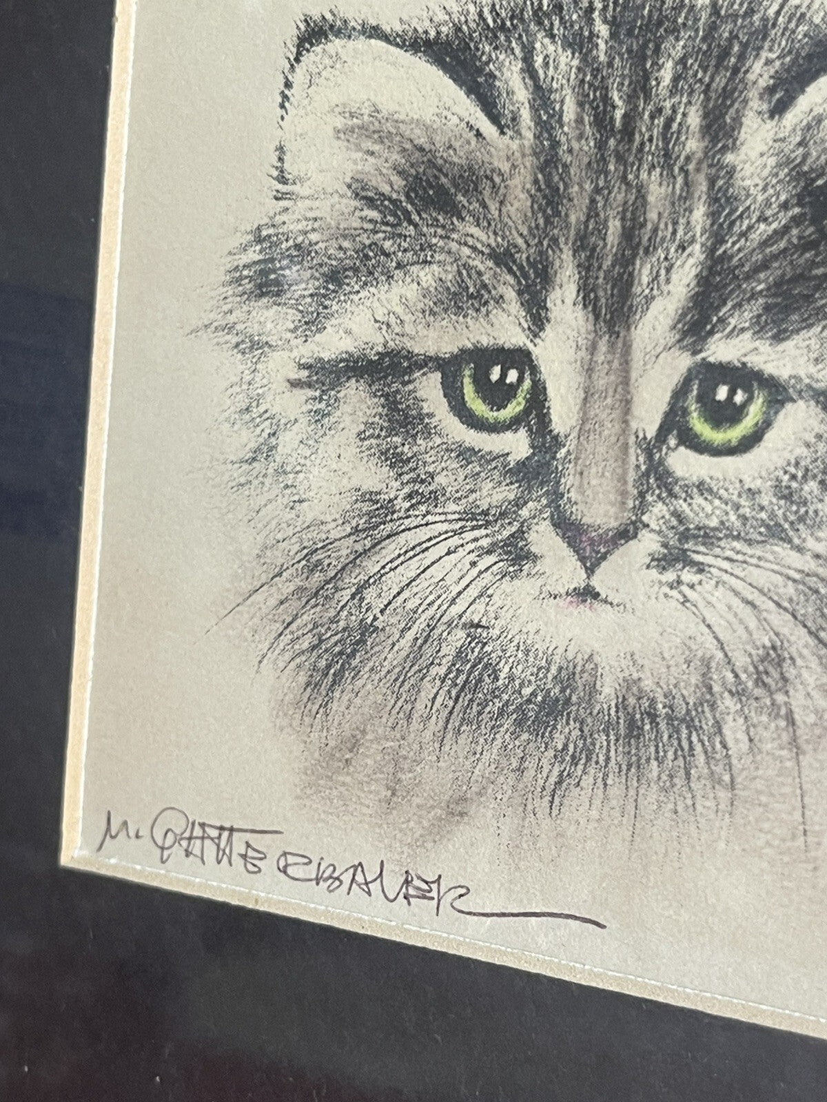 OOAK Cat Kitten Hand-Colored Pastel Lithograph Art Signed Gatterbauer Framed #43