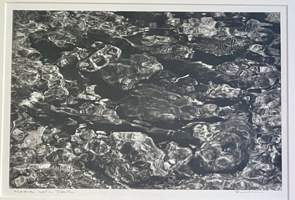 Original Fine Art Photograph ACADIA Nat’l Park MAINE Abstract B&W Signed Framed1