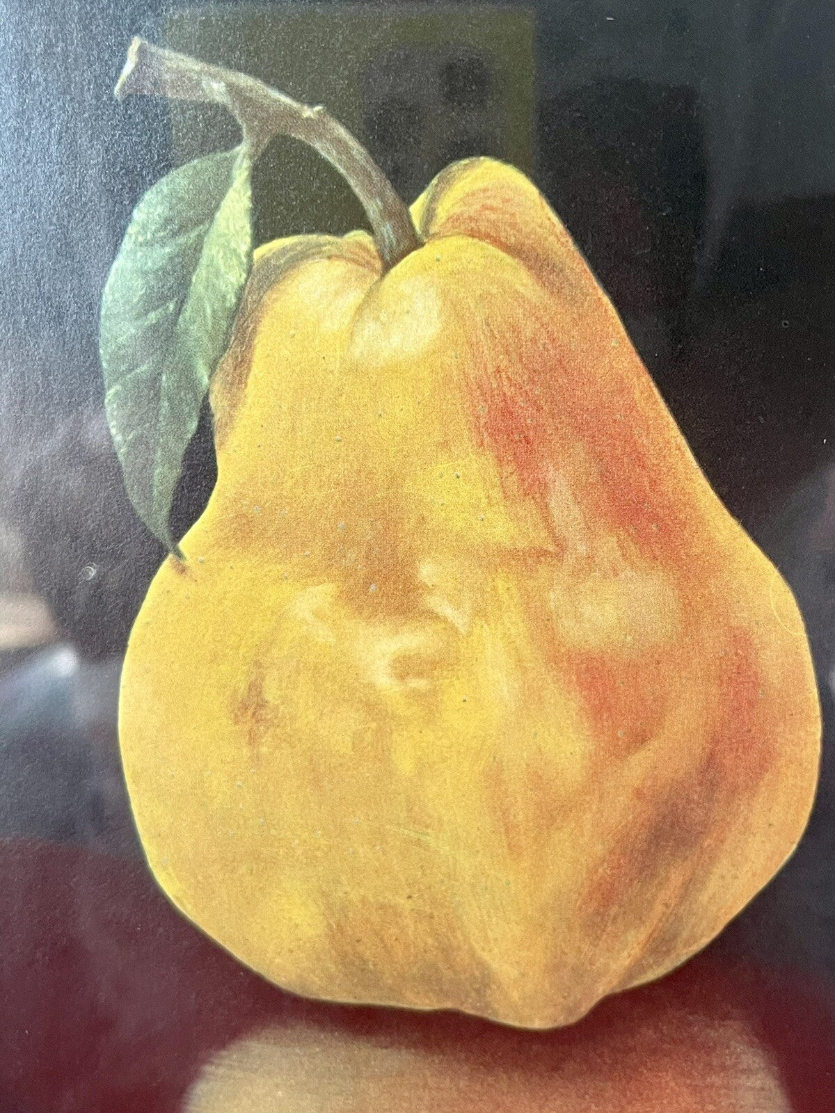 Vintage 60s Fruit Prints Apple & Pear Retro Art Hyperrealism NEL CARY Pr Framed4