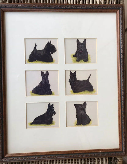 Framed Terrier Scotty Westie Tobacco Cards Full Set Framed DOG LOVERS Vintage1