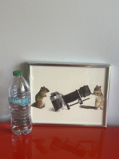 Taxidermy Chipmunk Photographers w/ Retro Camera Weird Anthropomorphic Photo FUN2