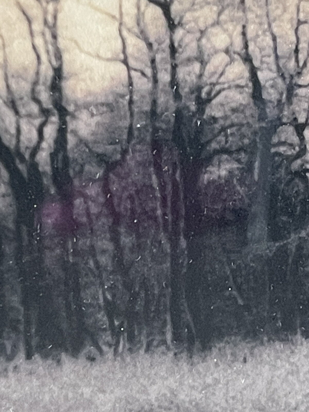 Christine Triebert “Grassy Pond” Provincetown MA Pin Camera Photograph Framed2