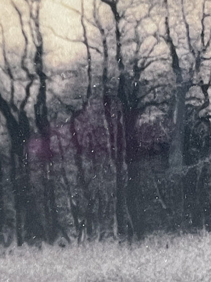 Christine Triebert “Grassy Pond” Provincetown MA Pin Camera Photograph Framed2