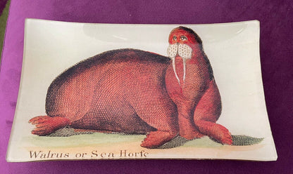 Kaas Glassworks NY Decoupage Trinket Tray Dish Walrus Handmade Signed 10” x 5”