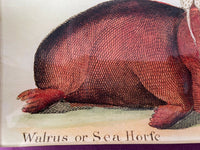 Kaas Glassworks NY Decoupage Trinket Tray Dish Walrus Handmade Signed 10” x 5”