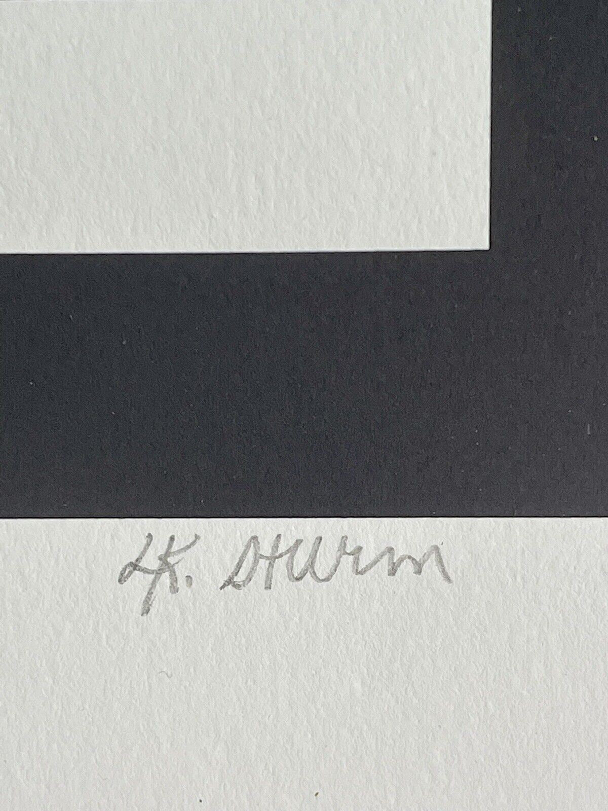 Postmodern 1980s 1990s Graphic Art Limited Edition Lithograph LK Sturm Unframed