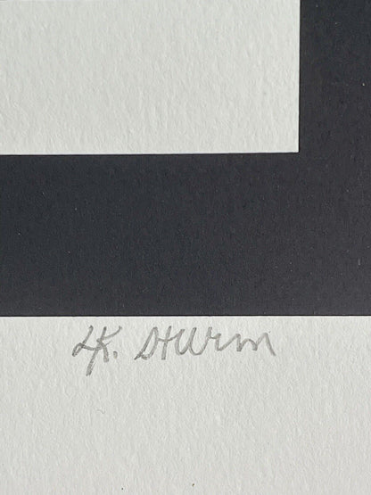 Postmodern 1980s 1990s Graphic Art Limited Edition Lithograph LK Sturm Unframed