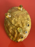 Glam MCM Abalone Shell Trinket Dish Lucite Feet Fisherman’s Wharf CA Souvenir 8”