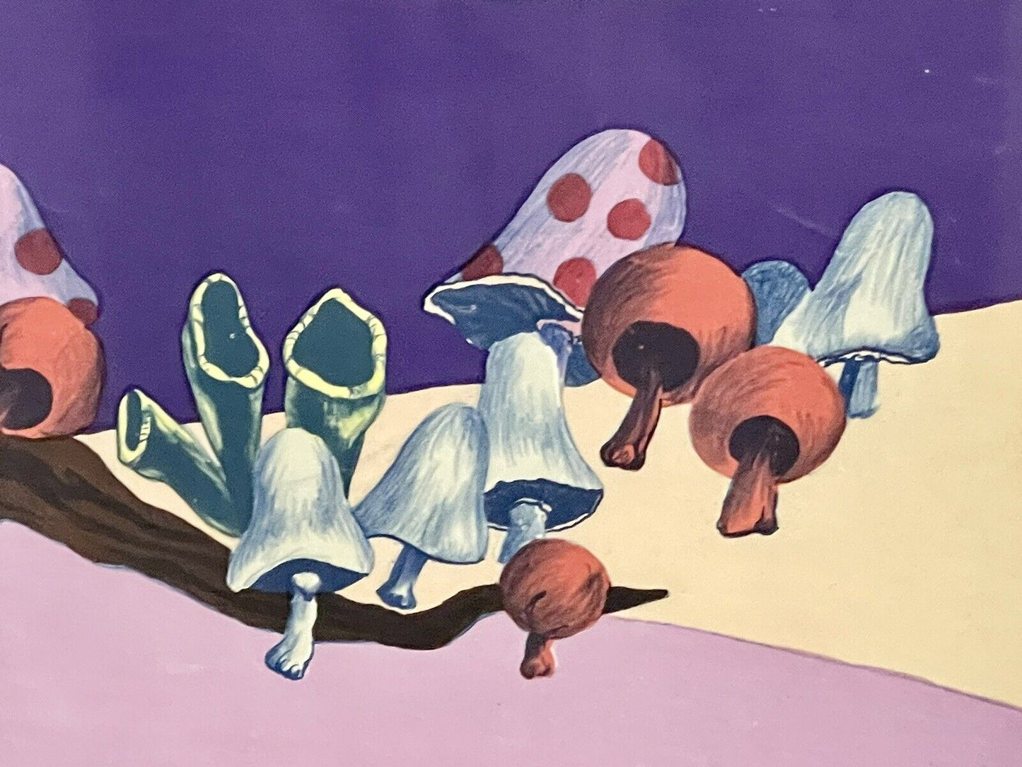 Purple Magical Mushrooms Retro 1970s Limited Ed. Fine Art Print Signed & Framed